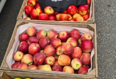 Ovocná středa v Aliplast