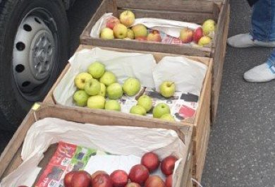 Ovocná středa v Aliplast