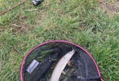 Aliplast Fishing Team - Nedělní rybolov